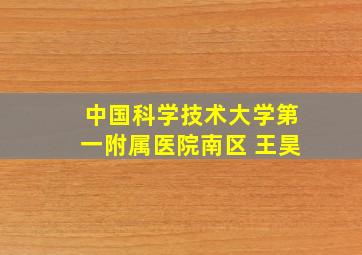 中国科学技术大学第一附属医院南区 王昊